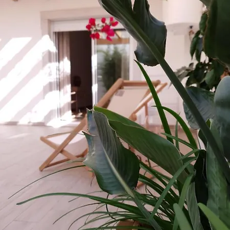 The Terrace House - Gremio Apartment Olhão